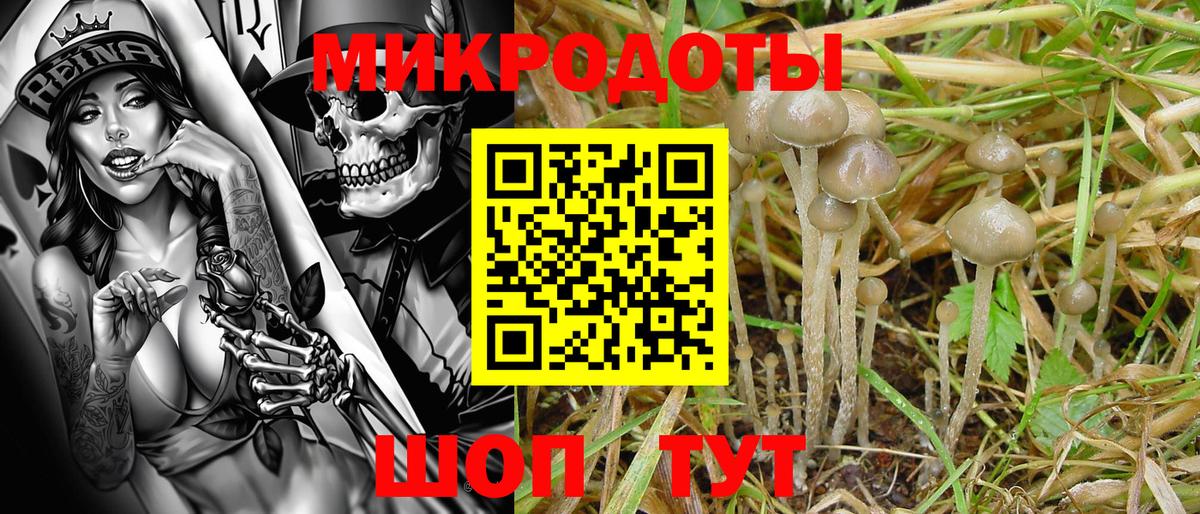 Псилоцибиновые грибы мицелий  Вход с VPN  Шебекино 